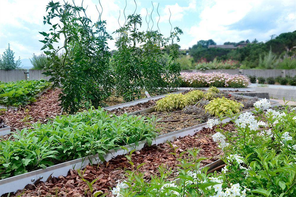 Terre Di Casole 4*