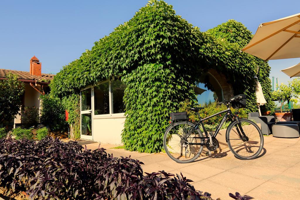 Hotel Terre Di Casole Casole d'Elsa